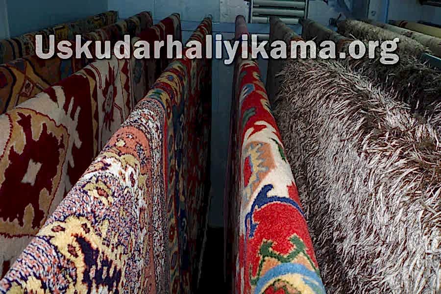 halı kurutma odası